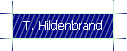 T. Hildenbrand